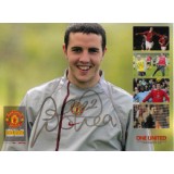 John O'Shea 6x8 Signed Man Utd Photo!